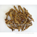 Dried Golden thread,Chinese goldthread,Rhizoma coptidis,Coptis japonica,Coptis chinensis,Coptis deltoidea,teeta,Huang lian
